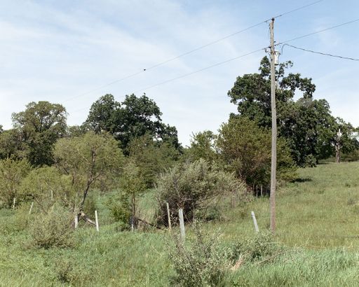 Perennial (selected images), 2021 to 2023, archival inkjet prints, 30 x 40 in.