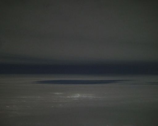 Perennial (selected images), 2021 to 2023, archival inkjet prints, 30 x 40 in.