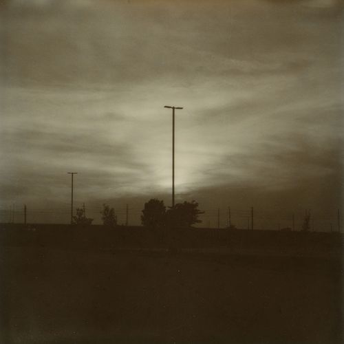 Polaroids, 2021 to 2023 (ongoing), 156 instant photographs, 35.5 x 141 in.