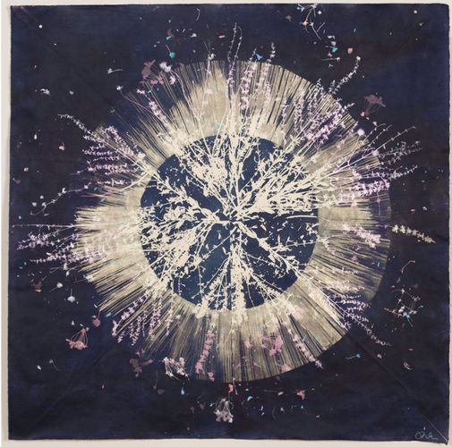Danielle Rante, Core 19 (cyanotype, ink, mica on paper)