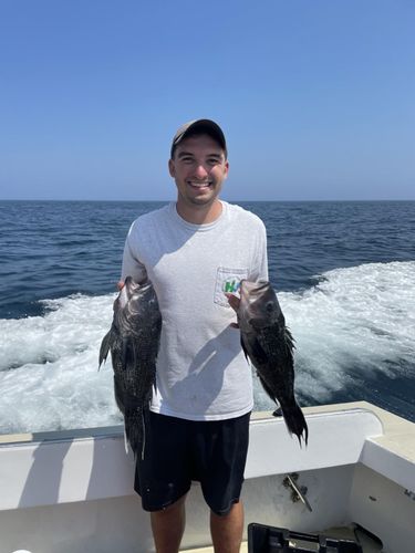 Grad student Keith Hankowsky holding black sea bass