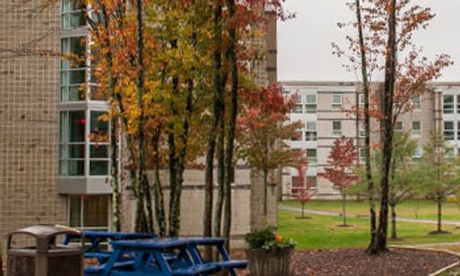 Woodlands