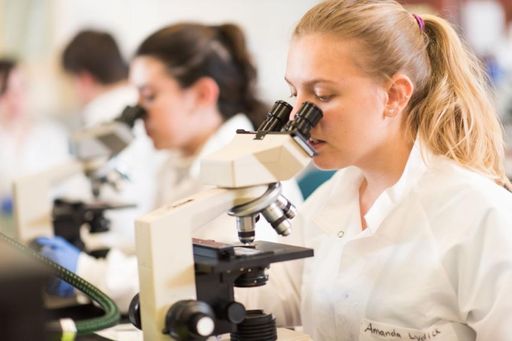 Amanda Lydick '18 views a specimen during a Medical Laboratory Science class.