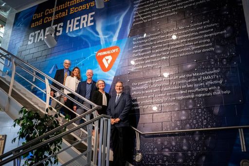 individuals standing on stairway