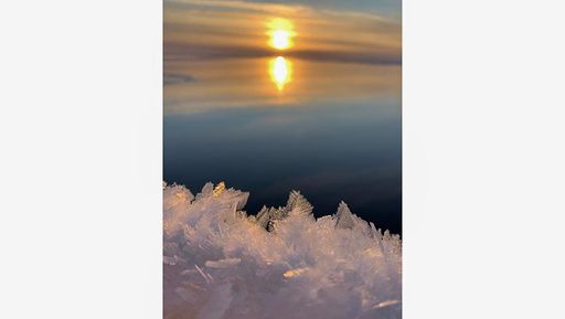 Hoarfrost results from direct condensation of water vapor to ice on exposed surfaces at sub-zero temperatures. Photo courtesy Marcia Campbell.