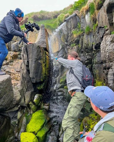 Students collect samples of 