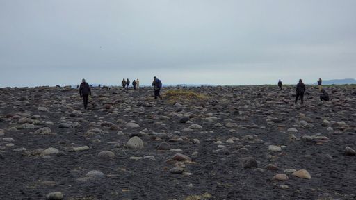 Volcanic and rocky sediment in Iceland provides difficult environments for life to grow.