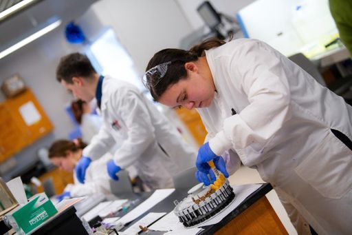 Medical Laboratory Science students at work in their renovated laboratory, funded by a new $750,000 Massachusetts Life Sciences Center grant