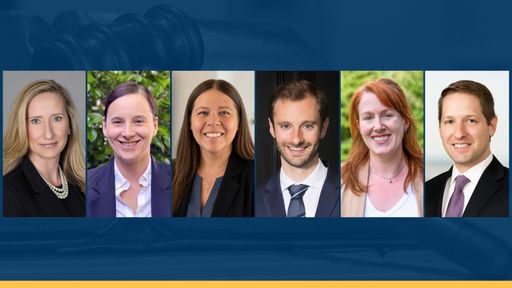 UMass Law new faculty 2026