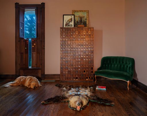 Bear Rug, 2022, C print, 20