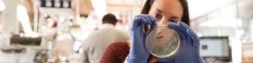 Person holding petri dish