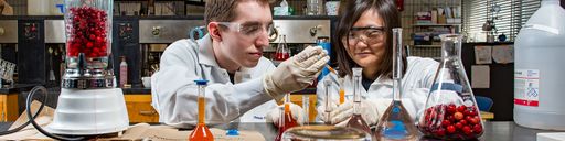 Chemistry students in the Cranberry lab