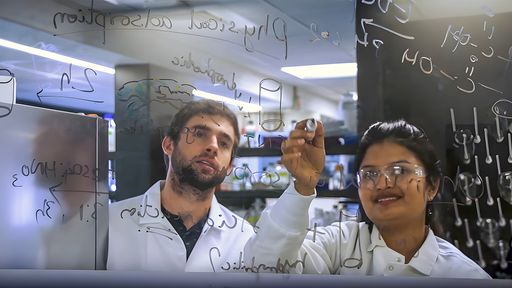 Data Science students