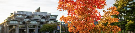 UMass Dartmouth campus in the fall
