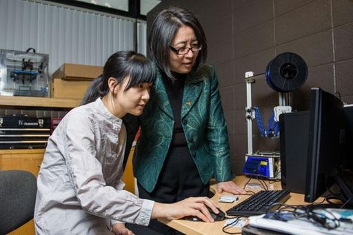  Dr. Hong Liu working with an Electrical and Computer Engineering student 