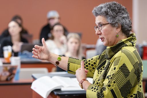 Professor Hillary Farber instructing a UMass Law class