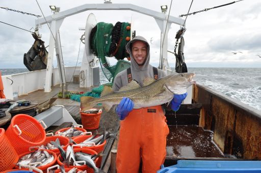 DFO scientist on board a fishing vessel