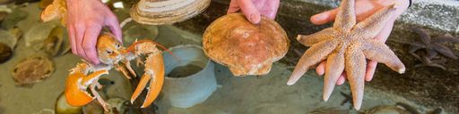 SMast students holding shellfish