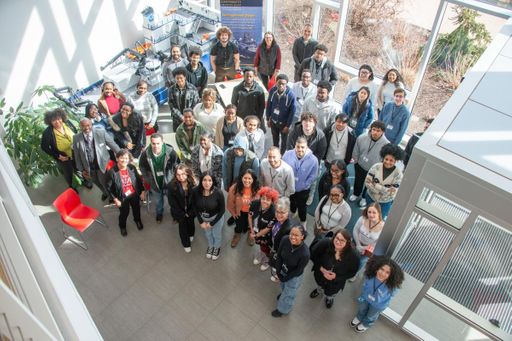 Tribe Academy Tech and Innovation Externship, March 2024