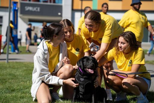 Four students petting UMass Dartmouth Comfort K9, Bella at Move-in Day.