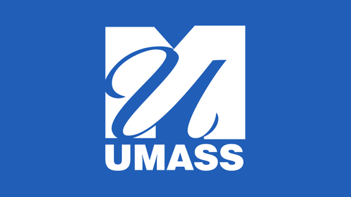 UMass System Brand