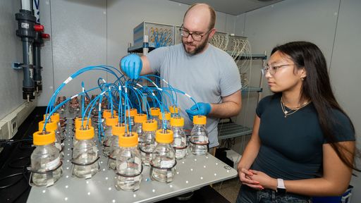 A faculty and student researcher in the Biodegradability lab