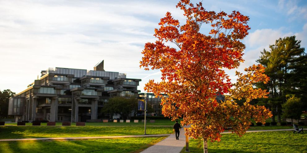 Autumn foliage with Claire T Carney library in the background