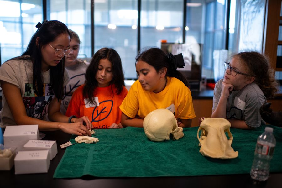 STEM4Girls participants working on a project