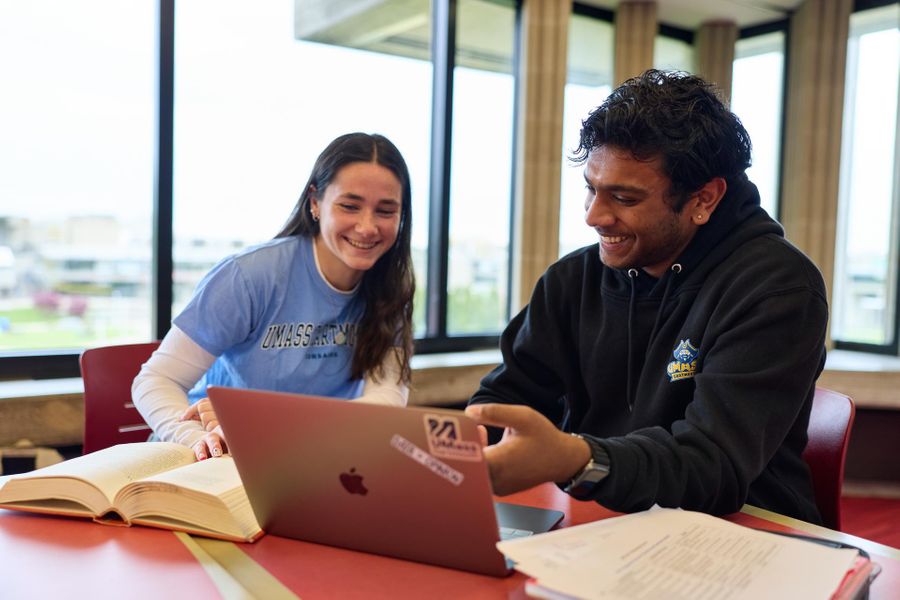 Two students studying
