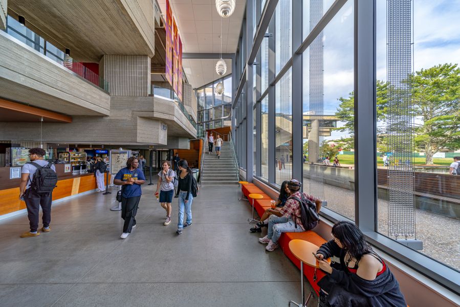 Library with students